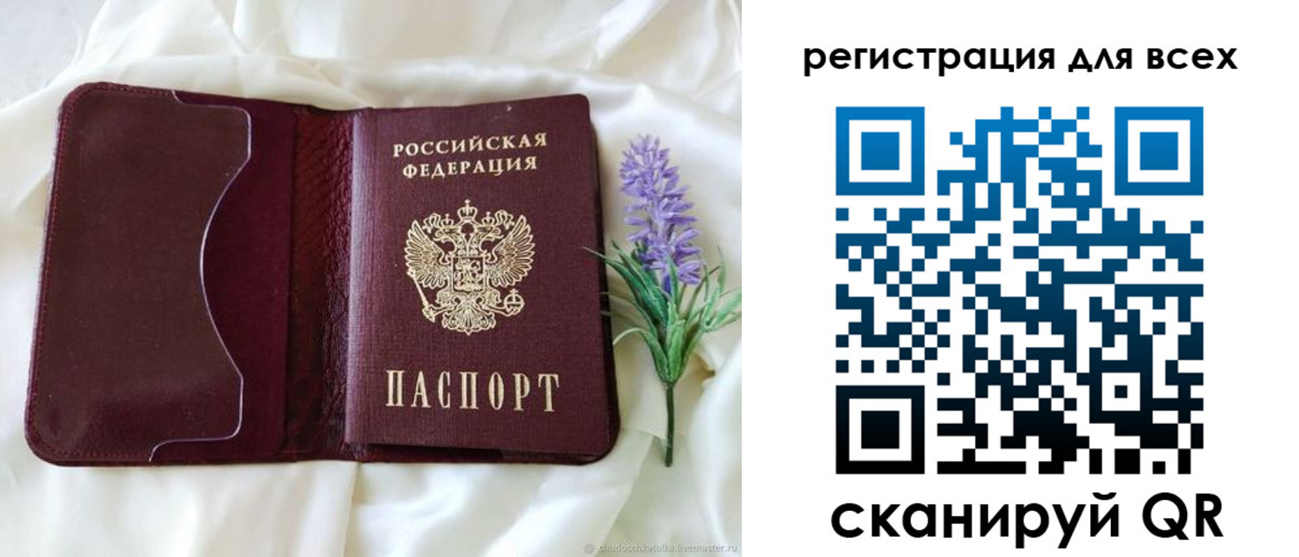 прописка 2025 в Куртамыше
